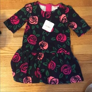 Gymboree rose tunic